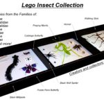 Insectos LEGO