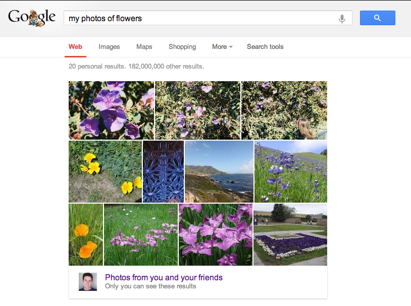 Google utiliza reconocimiento visual e inteligencia artificial para identificar objetos en tus fotos Búsquedas de imágenes
