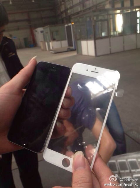 Panel frontal del iPhone 6