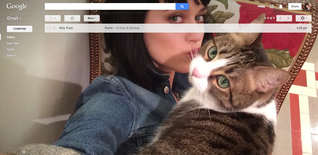 Gmail shelfie