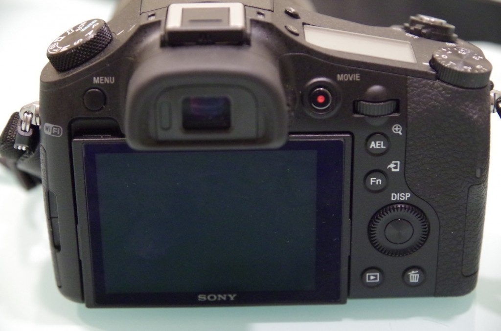 Sony Cyber-shot DSC-RX10