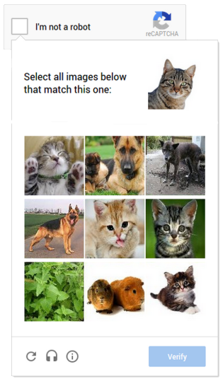 cat_captcha-315x539[1]