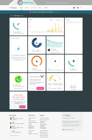 FireShot Screen Capture #025 - 'Panel de Fitbit' - www_fitbit_com_2015_01_04