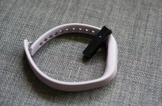 fitbitcharge2flex2_4-980x644[1]