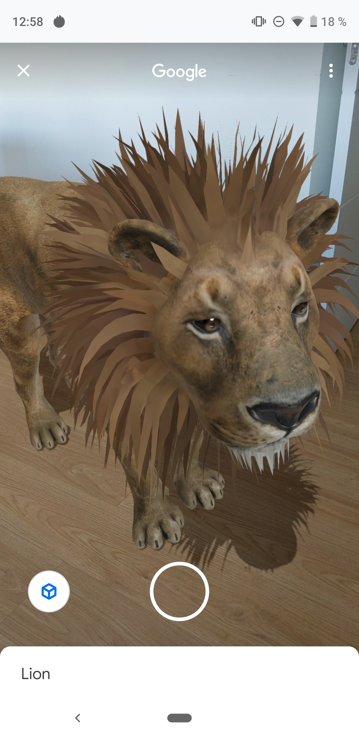 Cómo ver los animales 3D de Google en iPhone y Android: leones