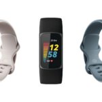 pokemon go fitbit
