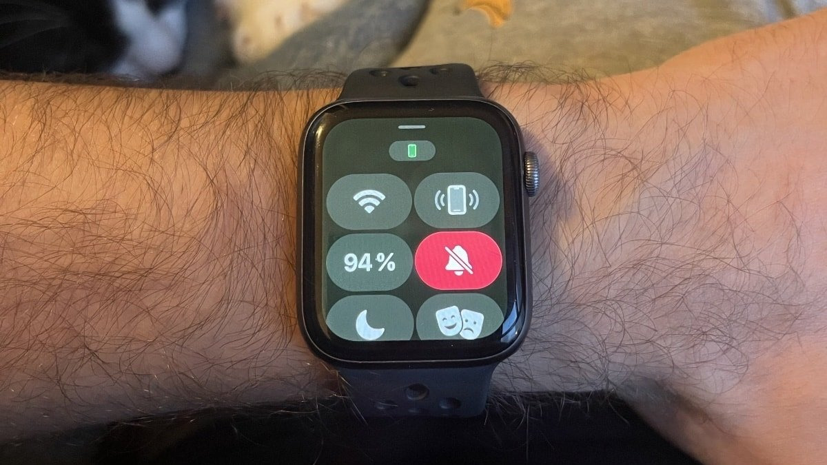 Tu Apple Watch muestra un tinte verde o gris tras actualizar a watchOS 9.5 No estas solo