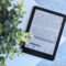 Análisis del lector BOOX Go 6 (Gen. II) y el pasador de páginas BOOX Tappy Ebook lector sobre mesa blanca junto a una planta, con texto en pantalla y botones de control visibles.