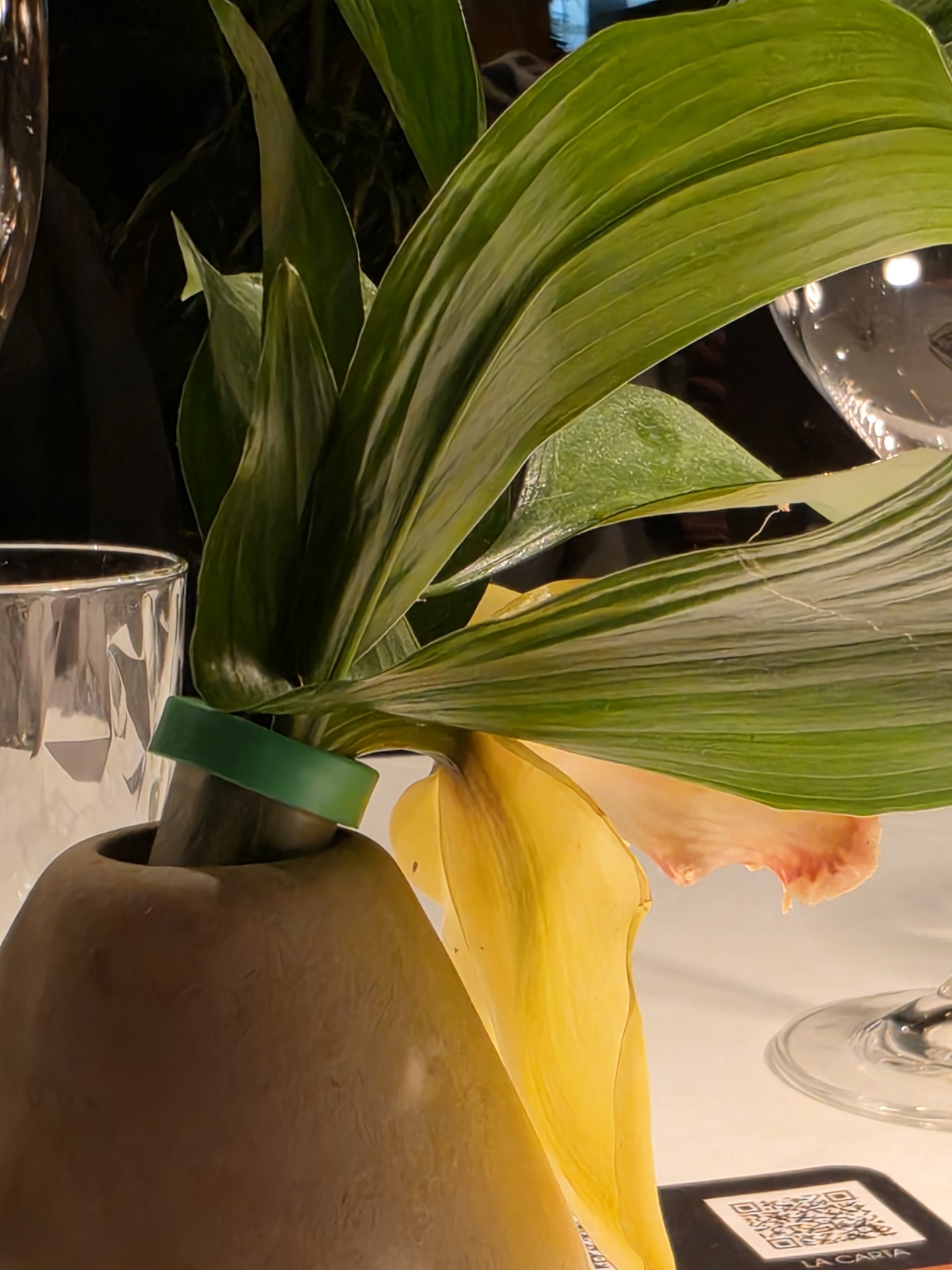 Flor en jarrón cónico con hoja verde y pétalo amarillo sobre tabla de restaurante elegante. Código QR visible.