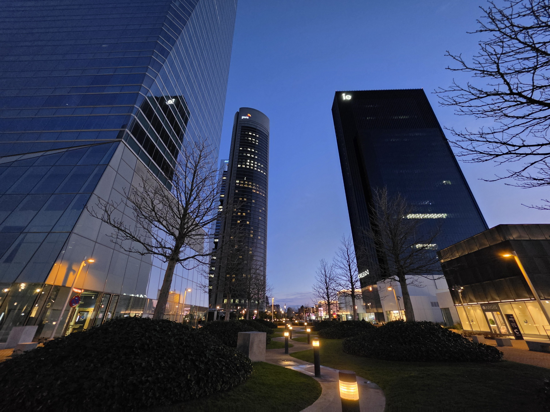 Rascacielos al anochecer en área urbana iluminada, árboles sin hojas y camino peatonal.
