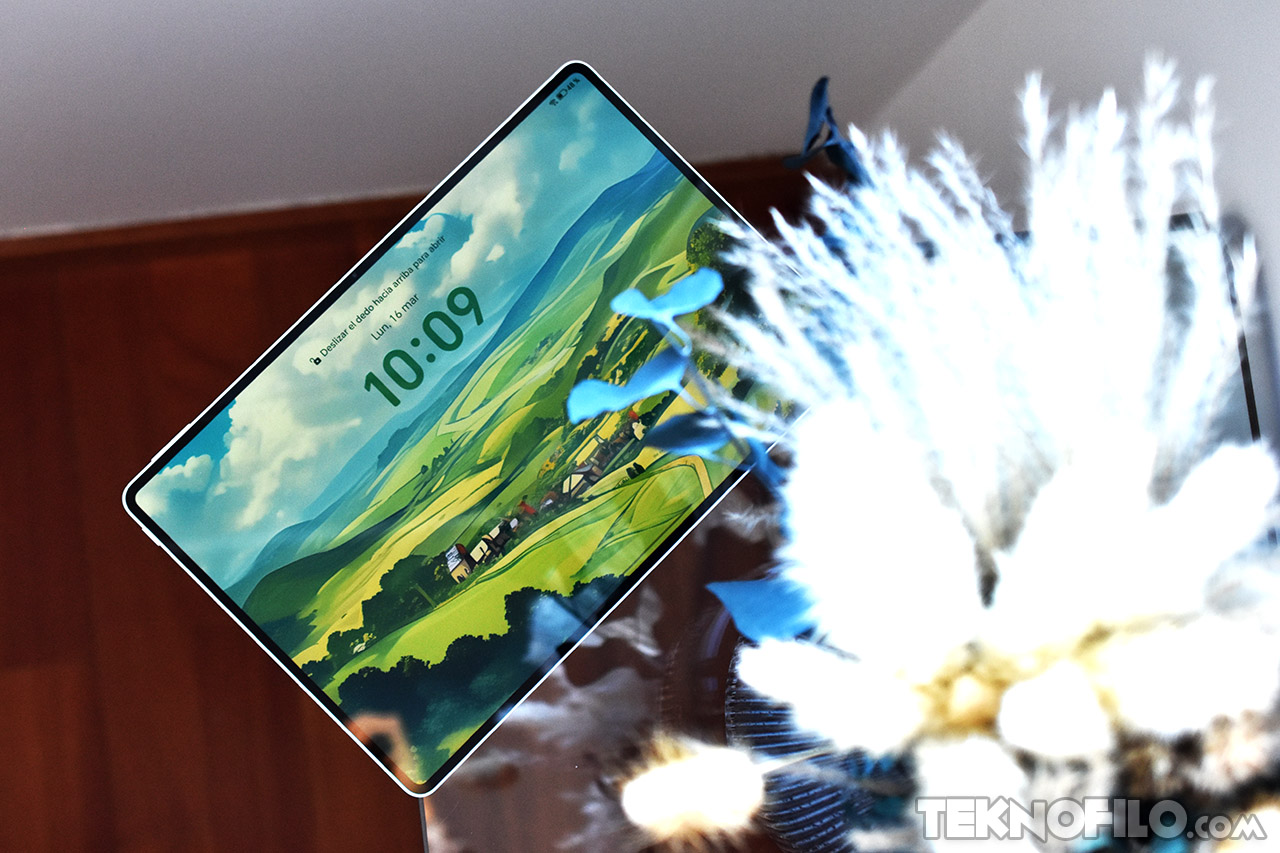 Tableta enmarcada por flores secas muestra pantalla con paisaje campestre y hora 10:09.