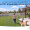 eufyCam C37: cámara exterior 2K con IA, visión nocturna en color y energía solar por menos de 100 € Cámara de seguridad eufyCam C37, alta calidad y tranquilidad por menos de 100 €, protegida por panel solar flexible.