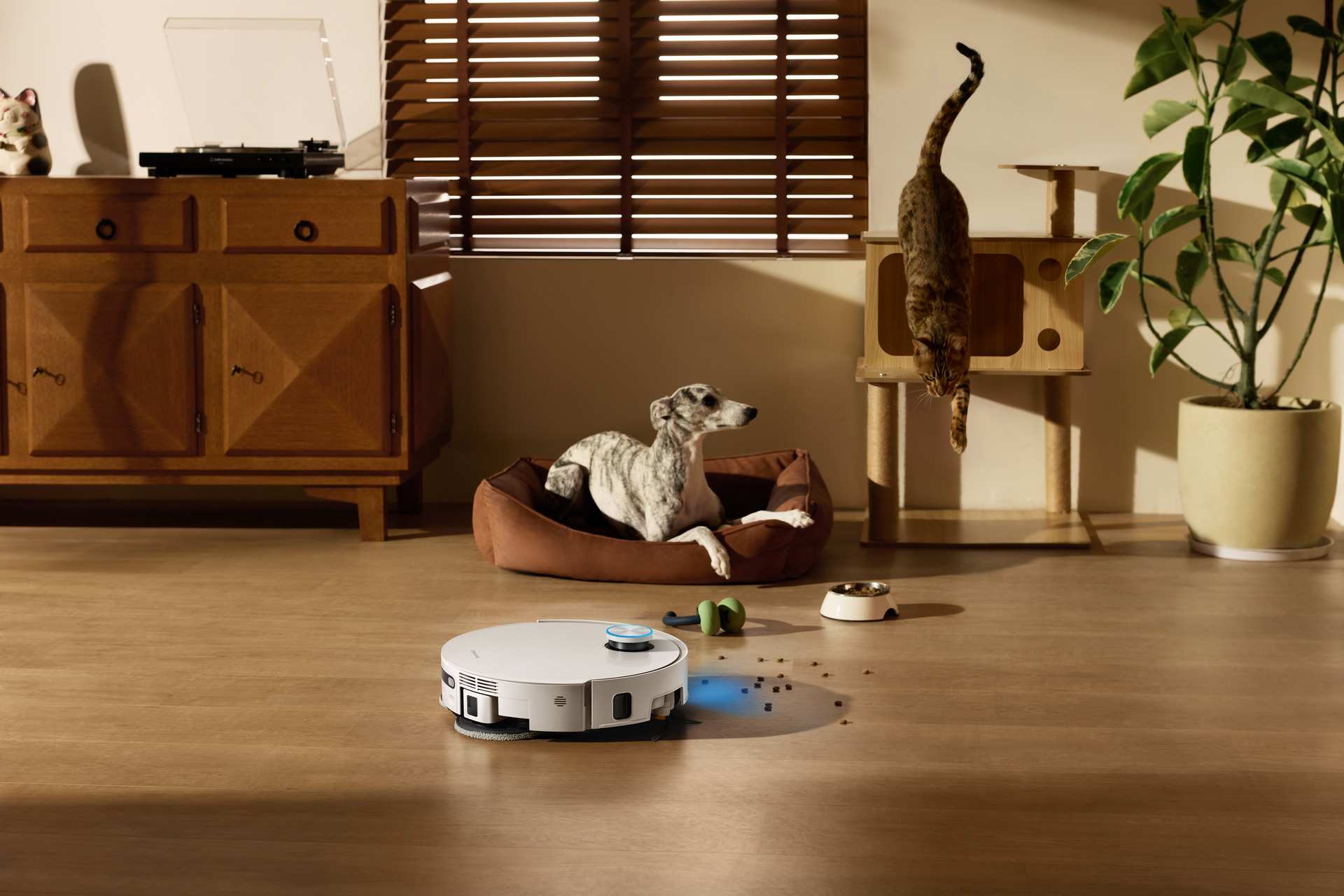 Robot aspirador limpiando el suelo cerca de un perro relajado y un gato curioso en casa.