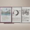 Amazon lanza en España los nuevos Kindle Scribe: más rápidos, ligeros y con pantalla de 11 pulgadas Tabletas Kindle Scribe mostrando notas creativas, gráficos y bocetos en pantalla para inspiración y productividad.
