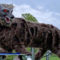 Figura de lobo robotico en un campo verde, usada para ahuyentar animales salvajes. Decoración peculiar y tecnológica.