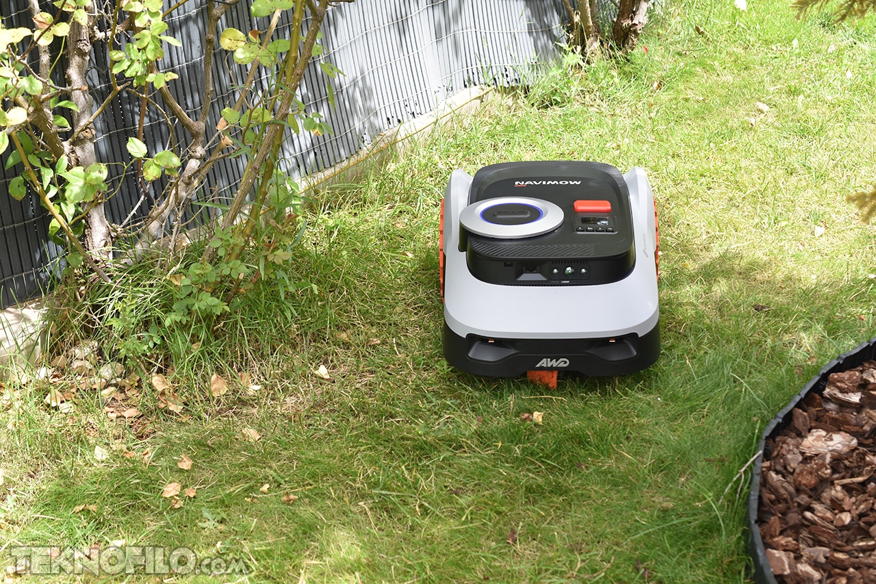 Robot cortacésped manejando césped en jardín verde cerca de arbusto y cercado metálico.