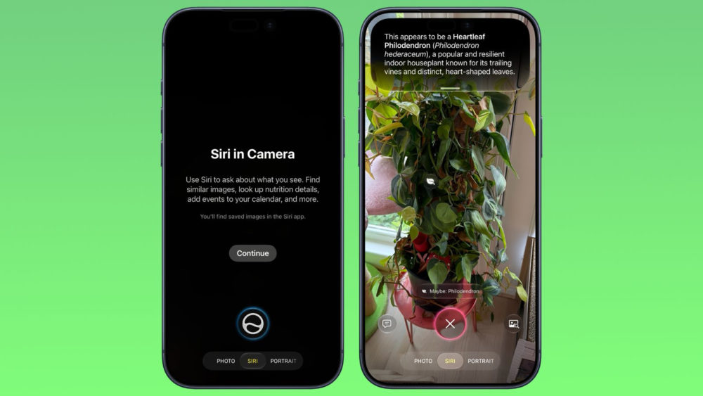 Dos iPhones mostrando la función Siri en Cámara, identificando un filodendro en una maceta roja. Fondo verde.