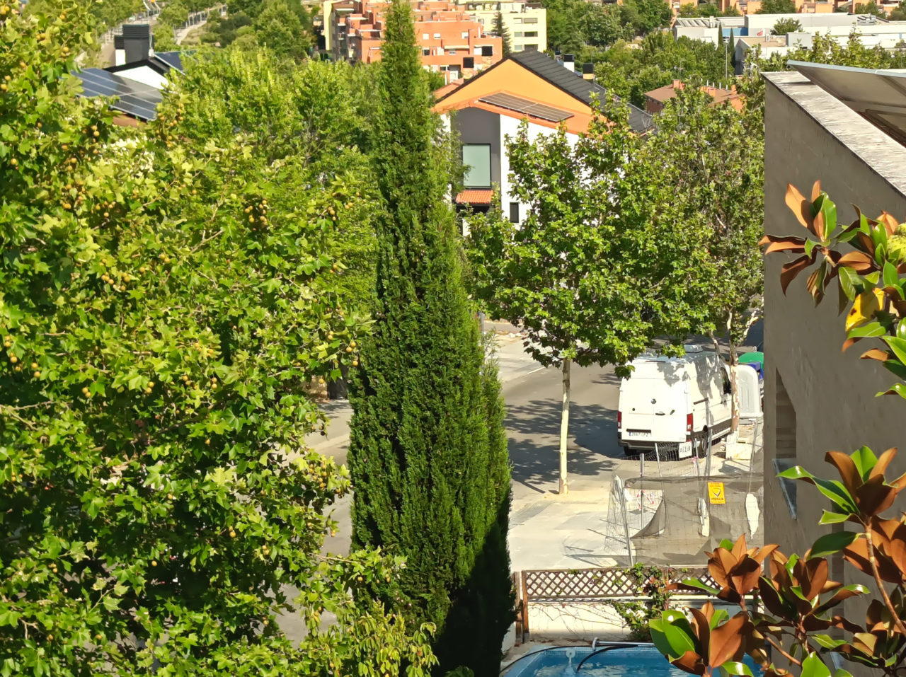 Vista urbana con árboles verdes y furgoneta blanca en la calle. Casas y edificios al fondo. Ambiente soleado.