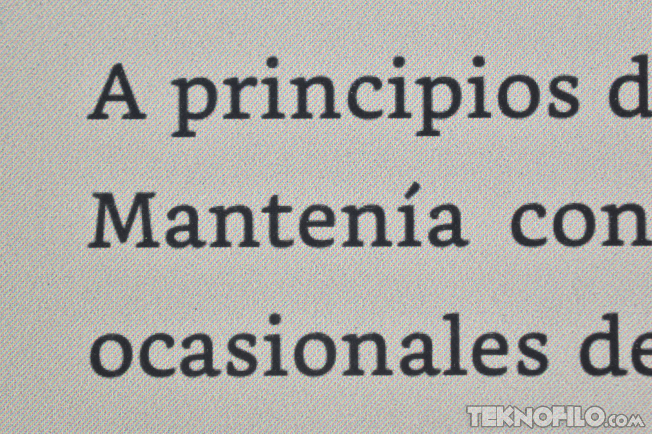 Texto en pantalla con palabras desenfocadas. Detalle pixelado de una frase en blanco y negro.