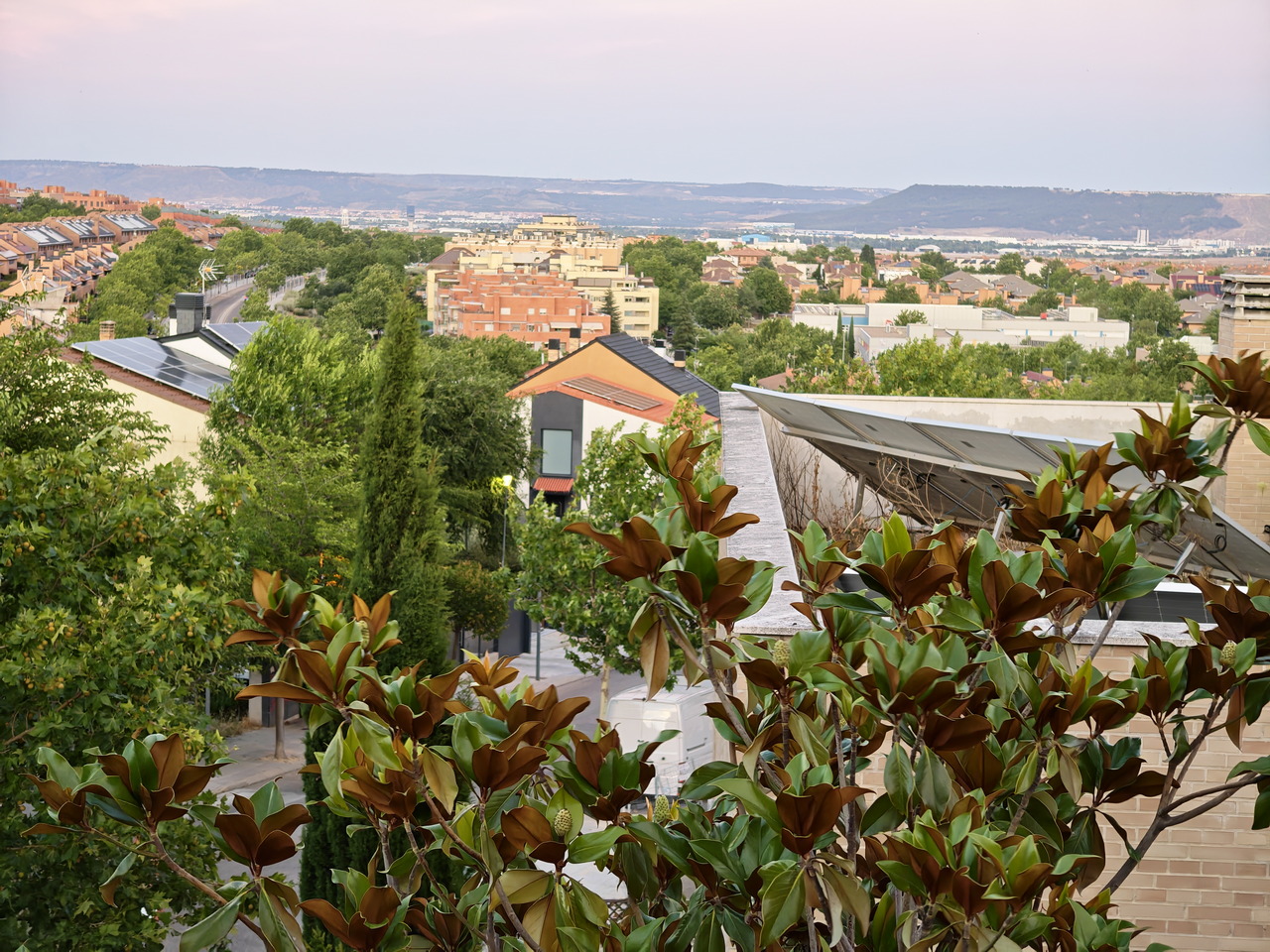 Vista panorámica de un barrio residencial con árboles y edificios al fondo, bajo un cielo despejado al atardecer.