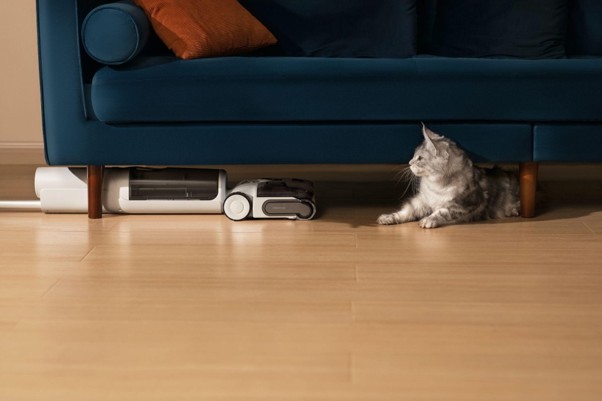 Gato junto a un robot aspirador debajo de un sofá azul en una sala con piso de madera. Limpieza moderna y mascotas.