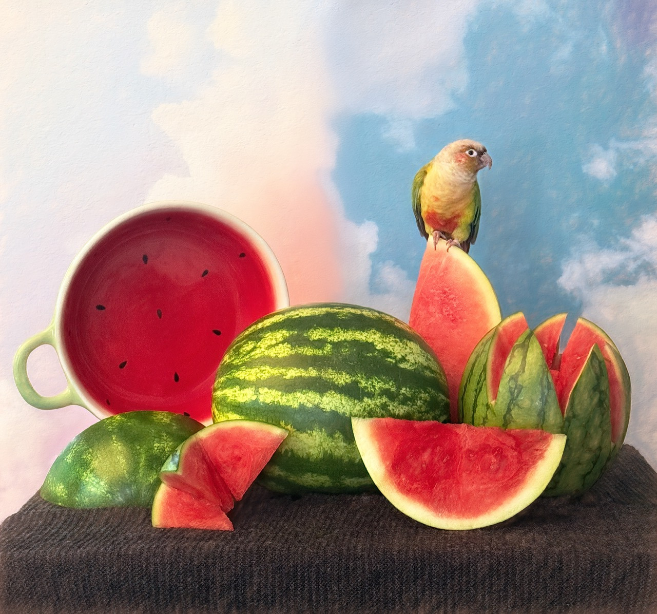 Un loro posado en una sandía junto a frutas cortadas y un cuenco, con un cielo azul de fondo.