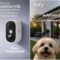 Estas cámaras eufy te permiten vigilar y hablar con tu mascota desde el móvil Cámara de seguridad eufyCam C35 y C37 con perro, promotora de tranquilidad y protección para el hogar.