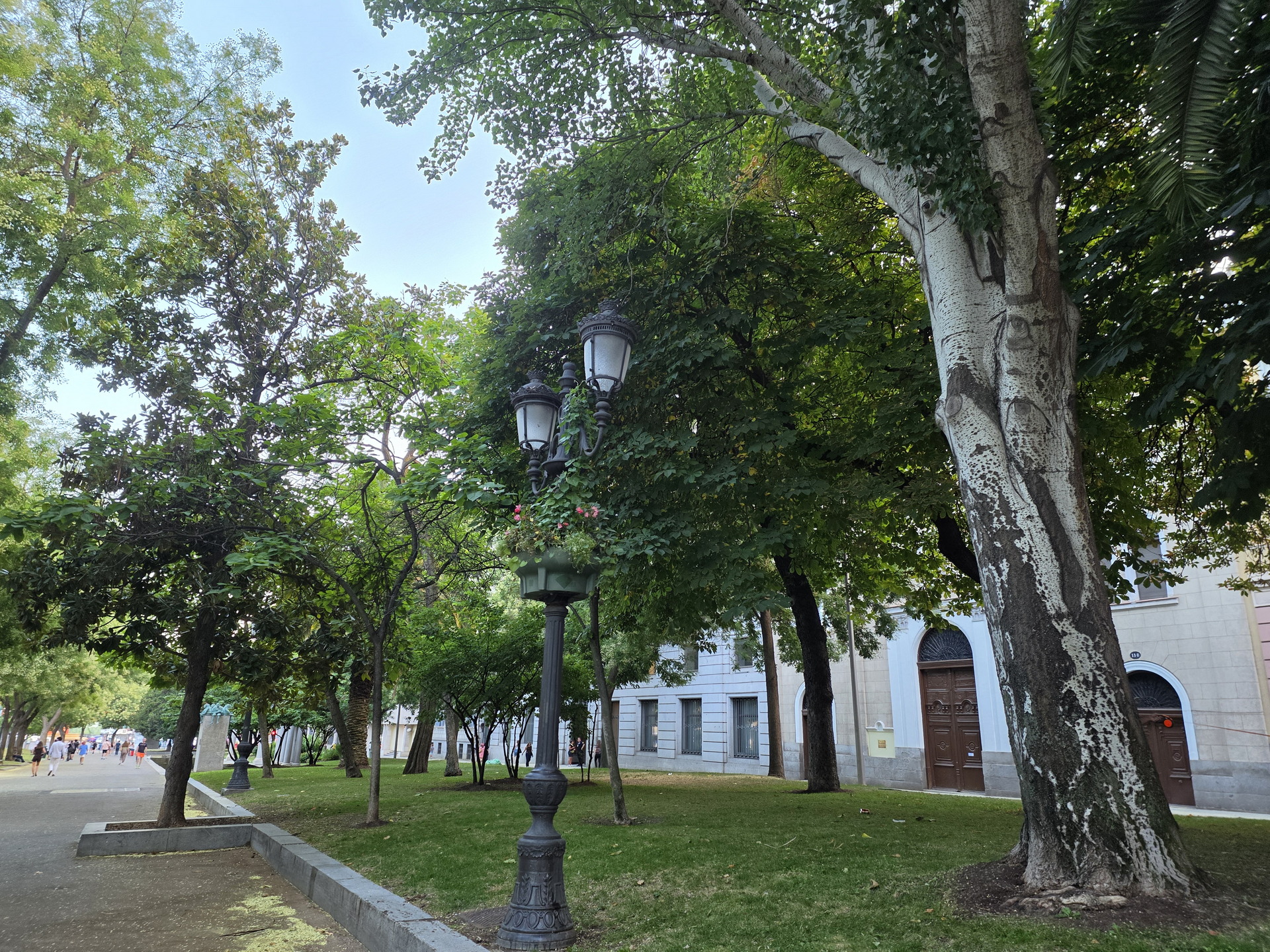 Paseo arbolado en parque urbano con farola clásica y fachada de edificio al fondo en un día soleado.