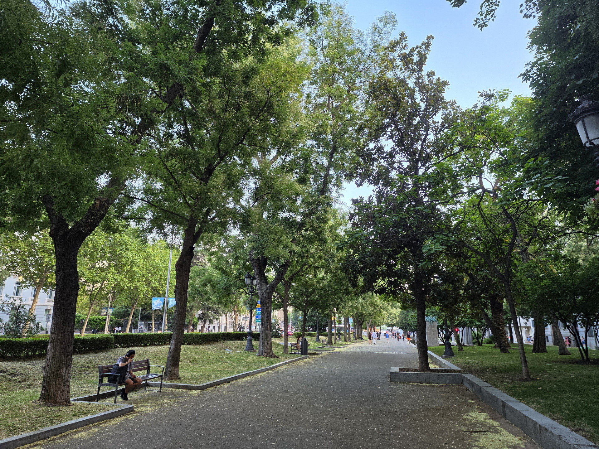 Camino arbolado en un parque urbano con bancos y una persona sentada disfrutando del entorno natural.