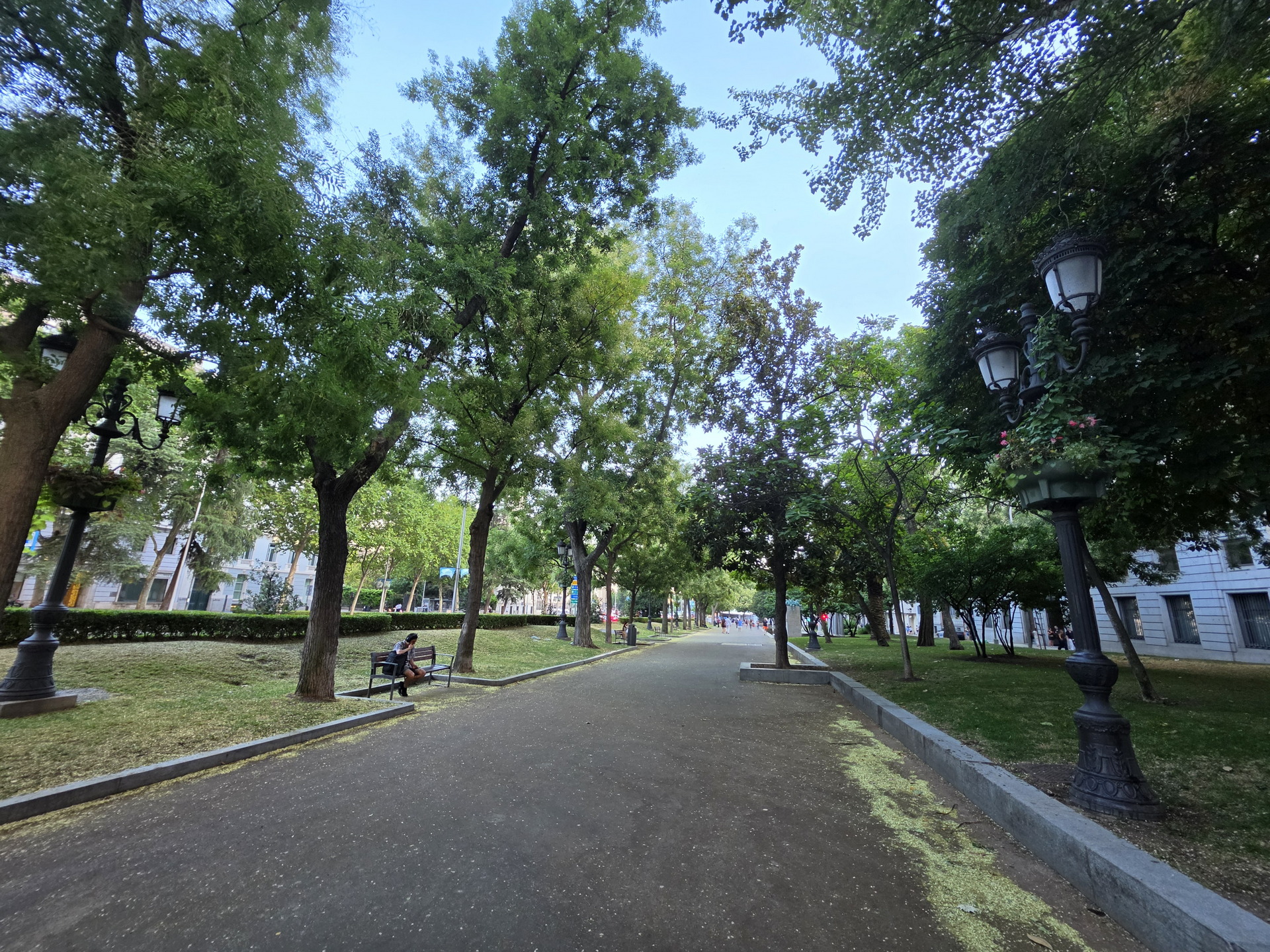 Paseo arbolado en parque urbano con bancos y farolas; día soleado y cielo despejado.