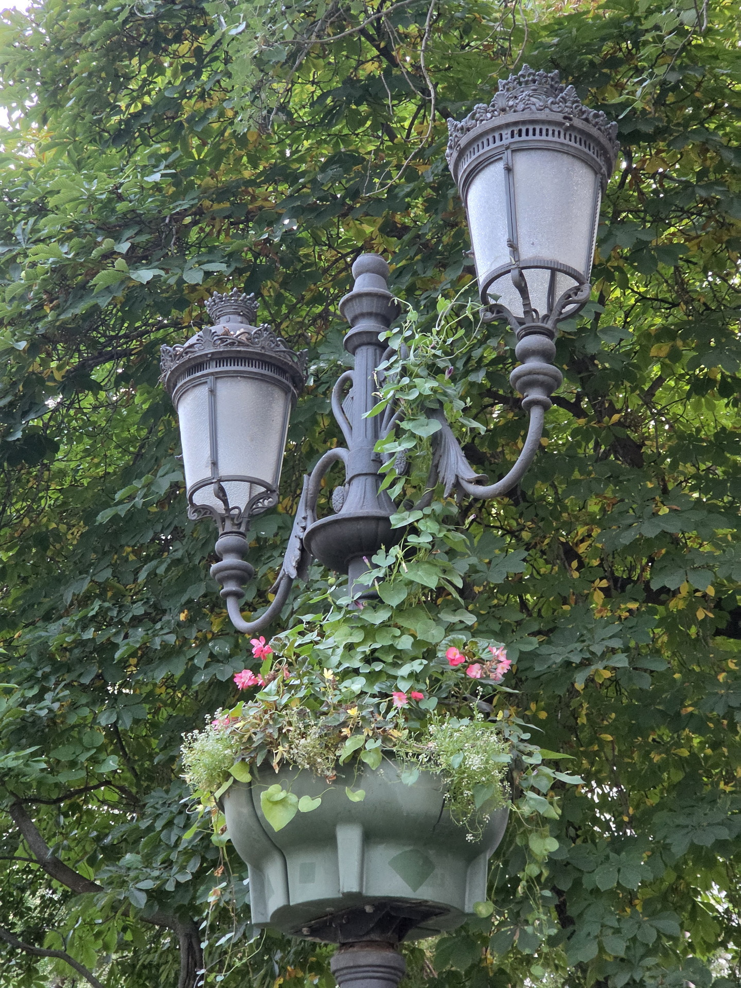 Farola de hierro forjado con flores y hojas verdes en un parque, rodeada de árboles frondosos.