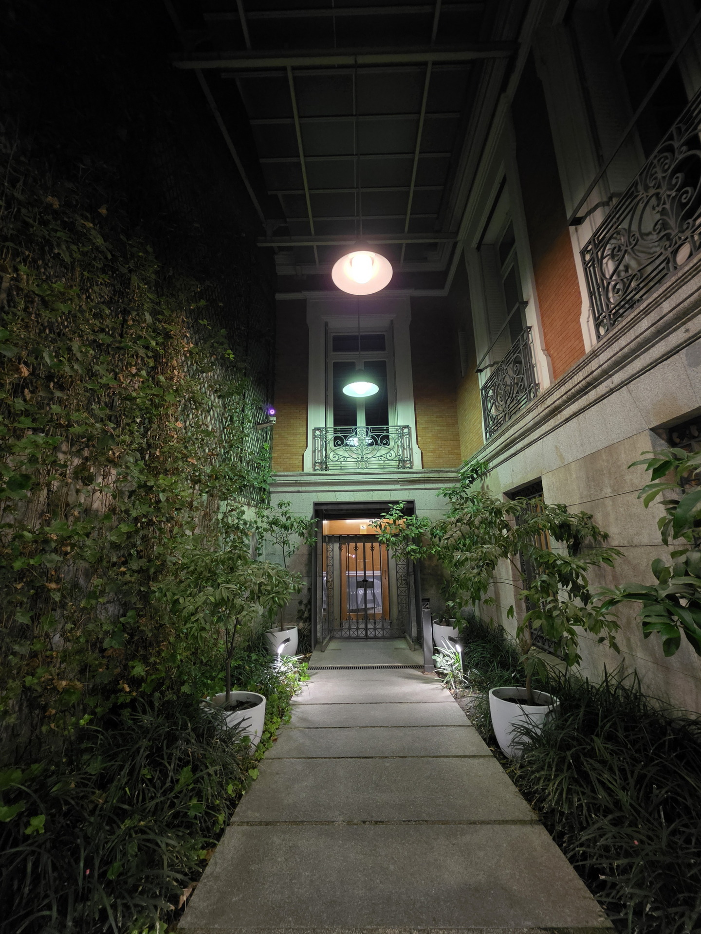 Entrada iluminada con plantas en macetas y enredaderas en las paredes, vista nocturna de un pasillo exterior elegante.