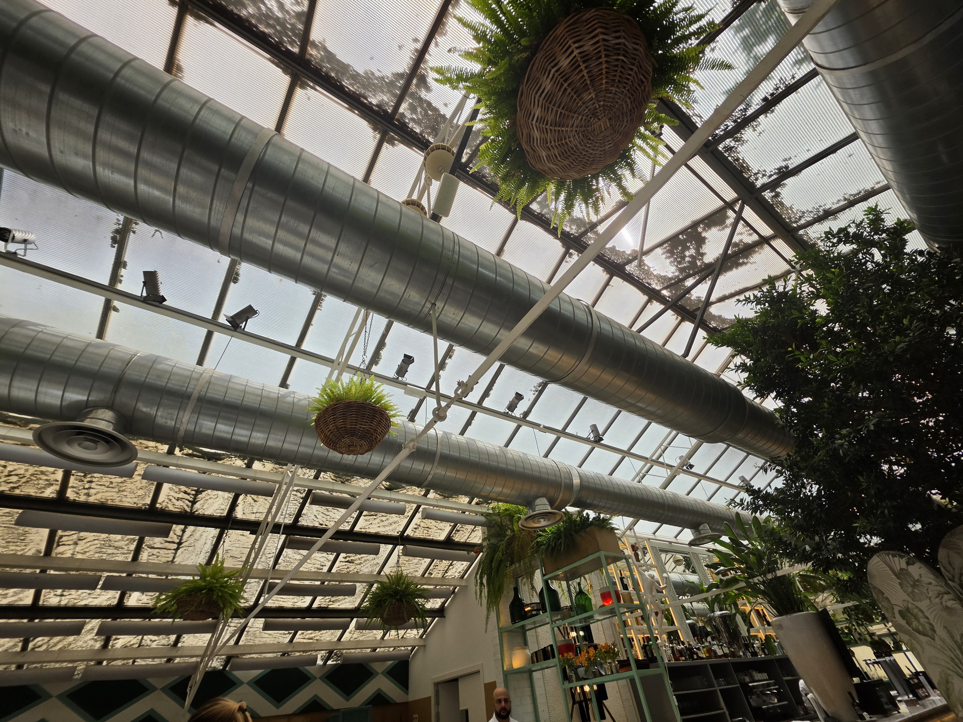 Estilo industrial en techo de local con plantas colgantes y conductos de ventilación visibles.