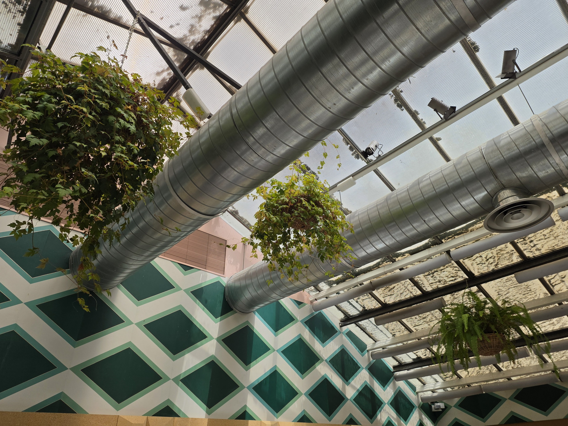 Plantas colgantes y conductos en un techo acristalado con paredes geométricas verdes y blancas.