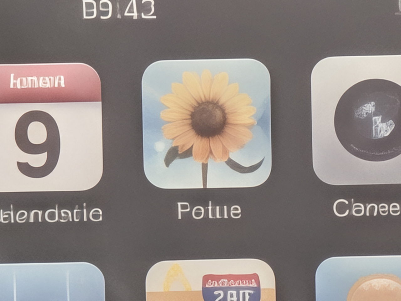 Icono de aplicación con un girasol sobre fondo azul en pantalla de dispositivo.