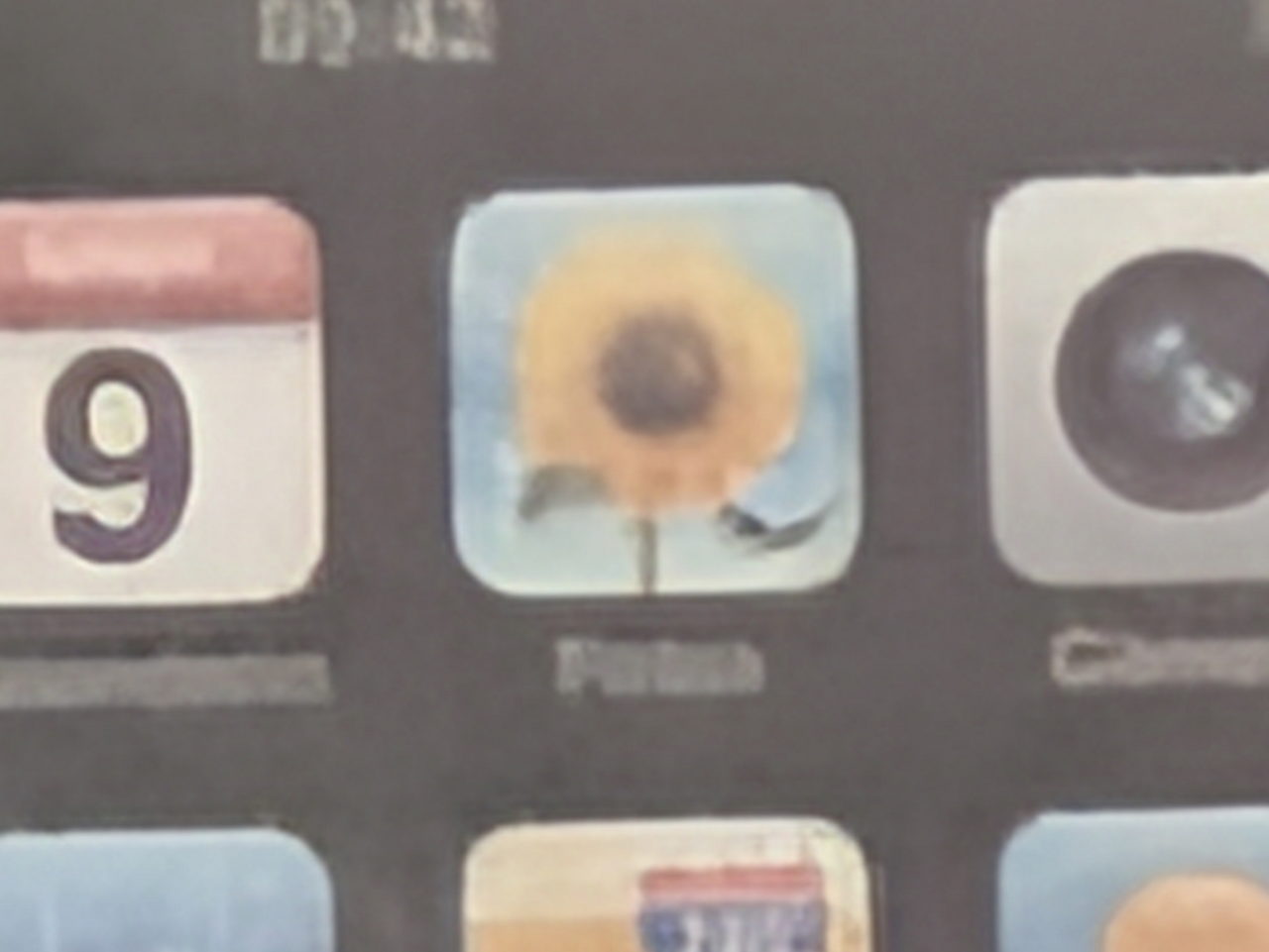 Iconos de aplicaciones en pantalla, destacando calendario con el número 9 y una flor de fondo azul y amarillo.