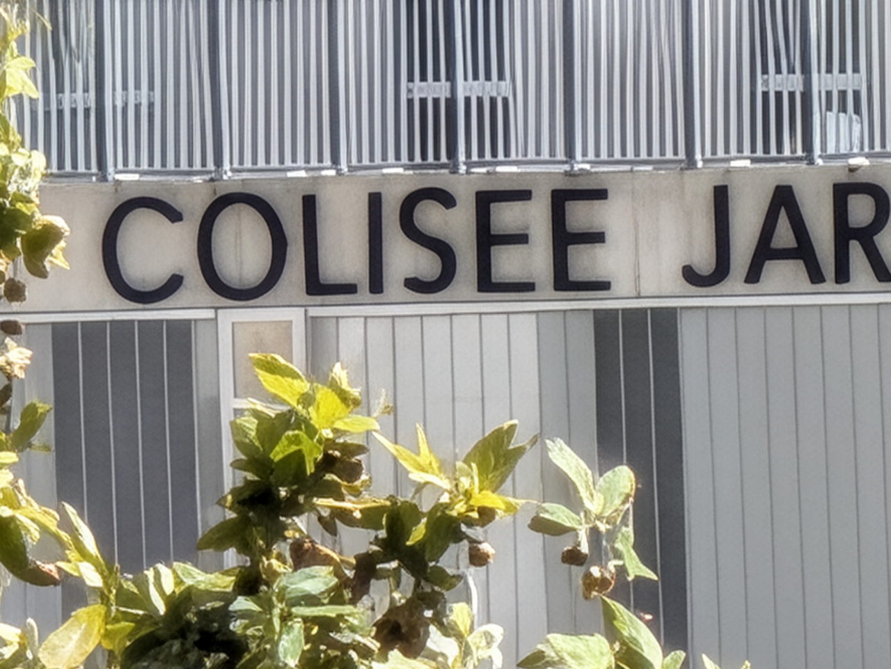 Fachada de Colisee Jar con plantas en primer plano, estructura moderna con letras negras.