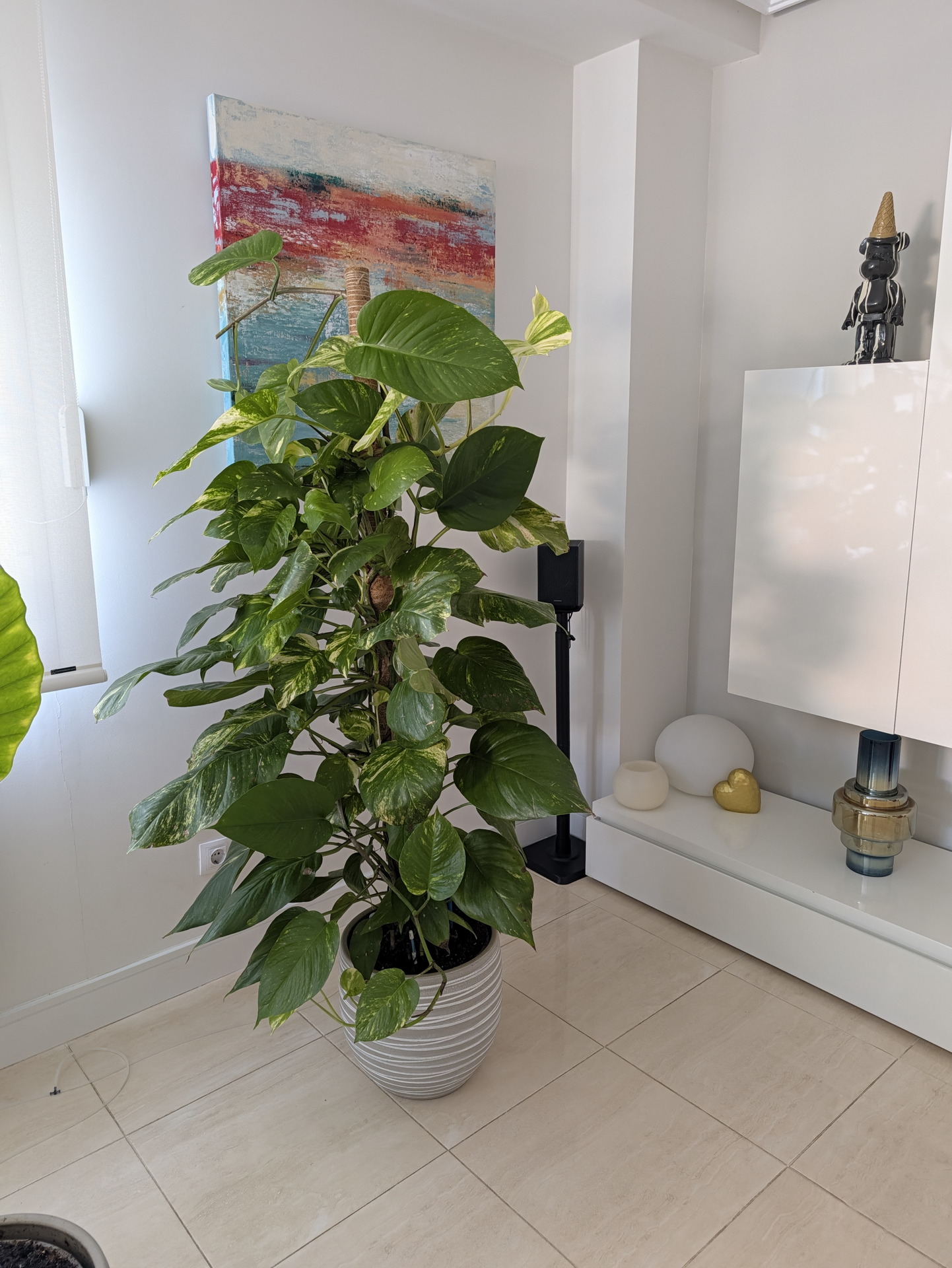 Planta de interior en maceta blanca con fondo de pintura abstracta en una sala moderna y bien iluminada.