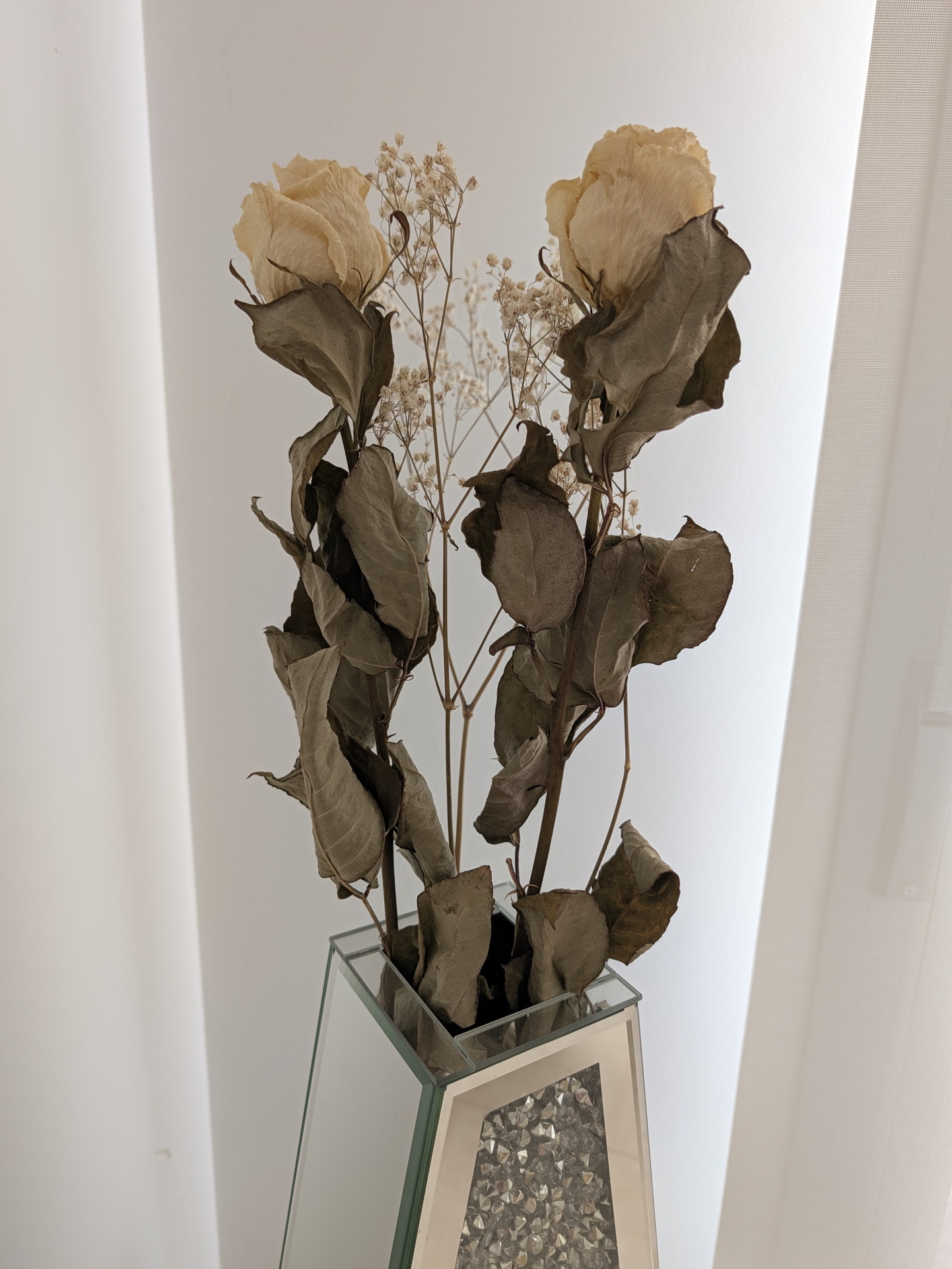 Ramos de flores secas en jarrón de vidrio sobre fondo blanco, estilo minimalista.