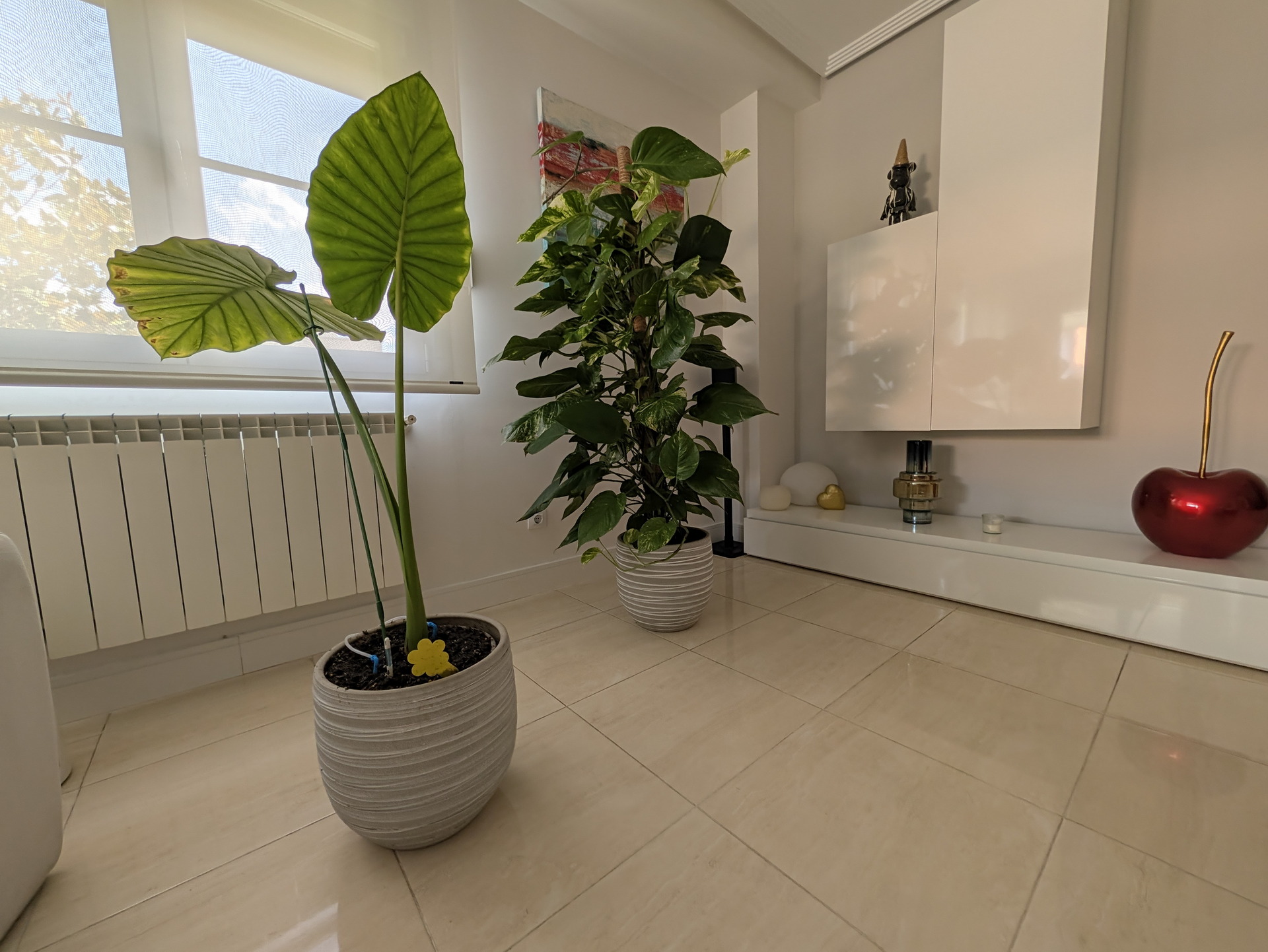Plantas decorativas en macetas en una sala moderna con luz natural y decoración minimalista.