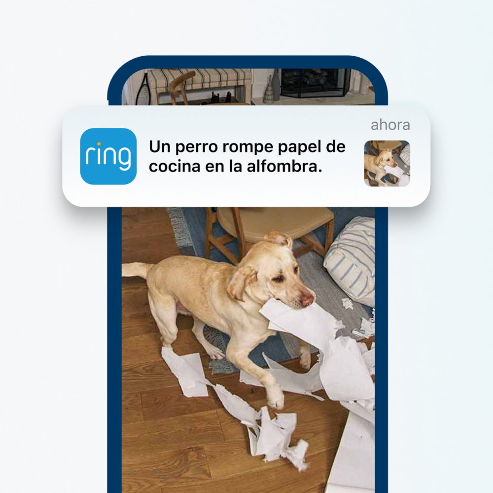Ring mejora sus cámaras con alertas inteligentes y un nuevo cifrado Perro travieso rompe papel de cocina en la alfombra; alerta de cámara de seguridad Ring.