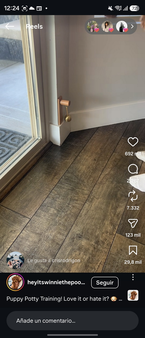 Entrenamiento de cachorros: campana para ir al baño junto a una puerta de vidrio en suelo de madera.