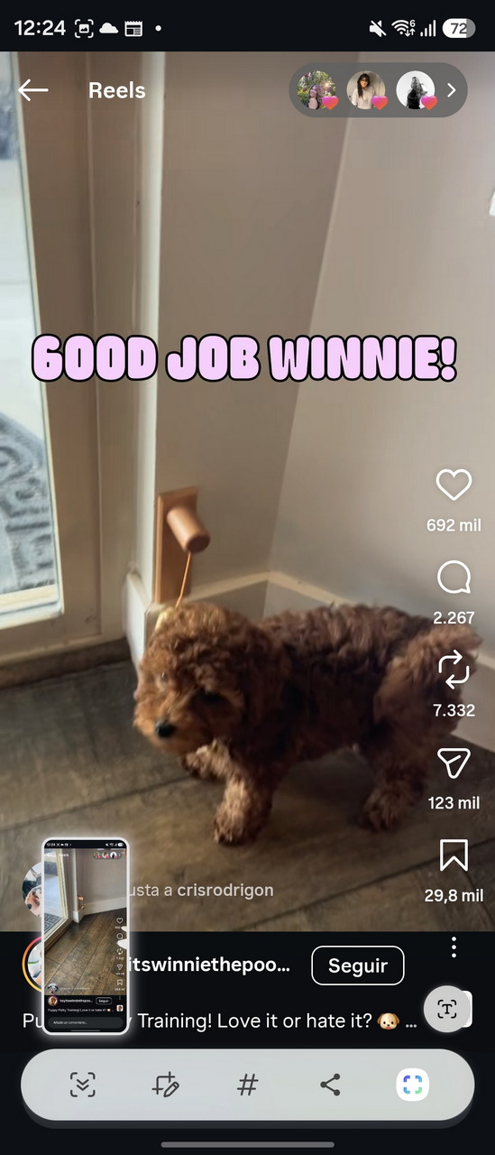 Perro aprendiendo a usar timbre de puerta para salir. Texto: Good job Winnie. Entrenamiento exitoso para mascotas.