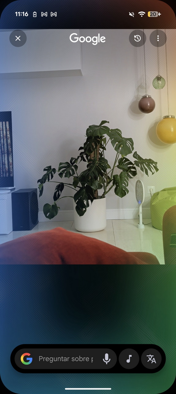 Planta Monstera en maceta blanca junto a pared blanca decorada con lámparas colgantes de colores. Moderno y minimalista.