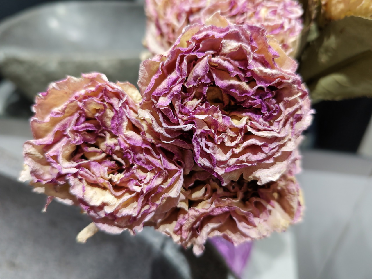 Flores secas en tonos rosados y beige, detalle cercano resaltando textura y color. Ideal para decoraciones rústicas.