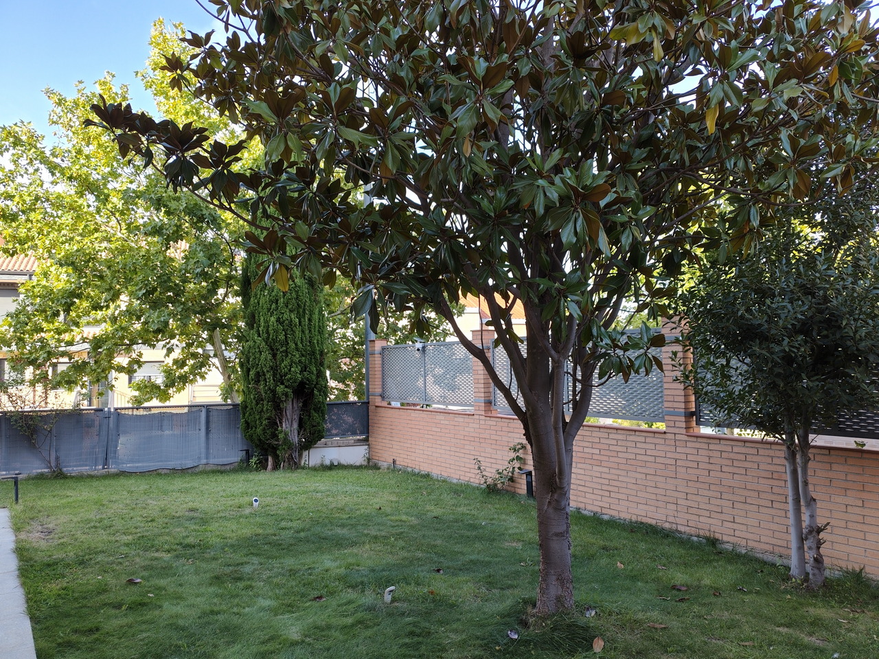 Jardín con césped verde y árboles bajo cielo azul, cercado por muro de ladrillo.