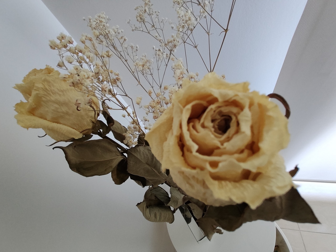 Rosas secas amarillas con hojas marrones y pequeñas flores blancas, en un florero sobre fondo blanco suave.