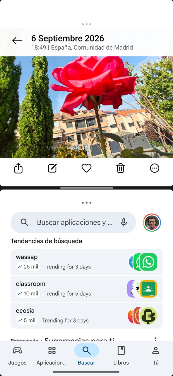 Flor roja en jardín de Madrid con cielo azul y edificio al fondo, 6 de septiembre de 2026. Buscador con tendencias populares.