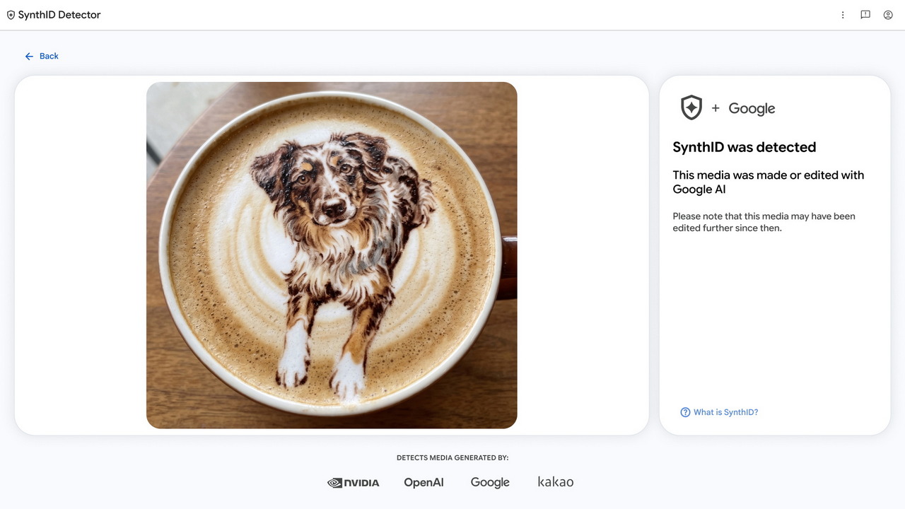 SynthID Detector encuentra una marca de agua de Google en una imagen de un perro sobre un café