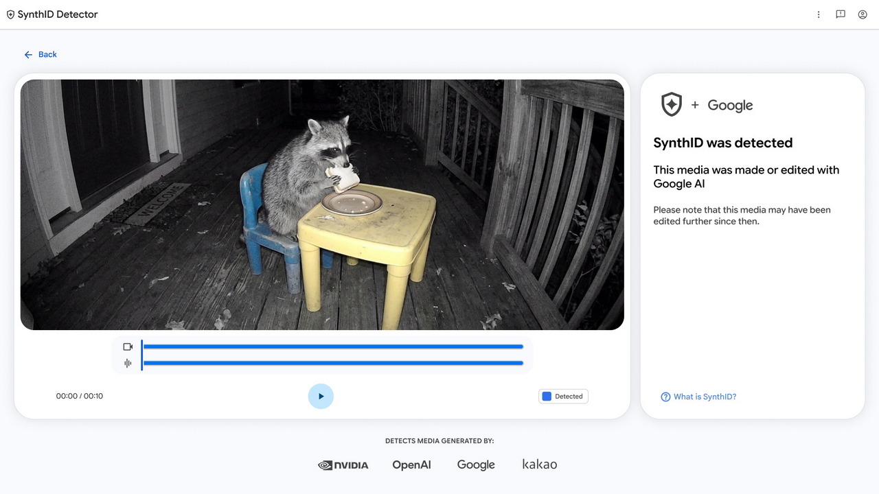 SynthID Detector identifica una marca de Google en un vídeo de un mapache sentado a una mesa
